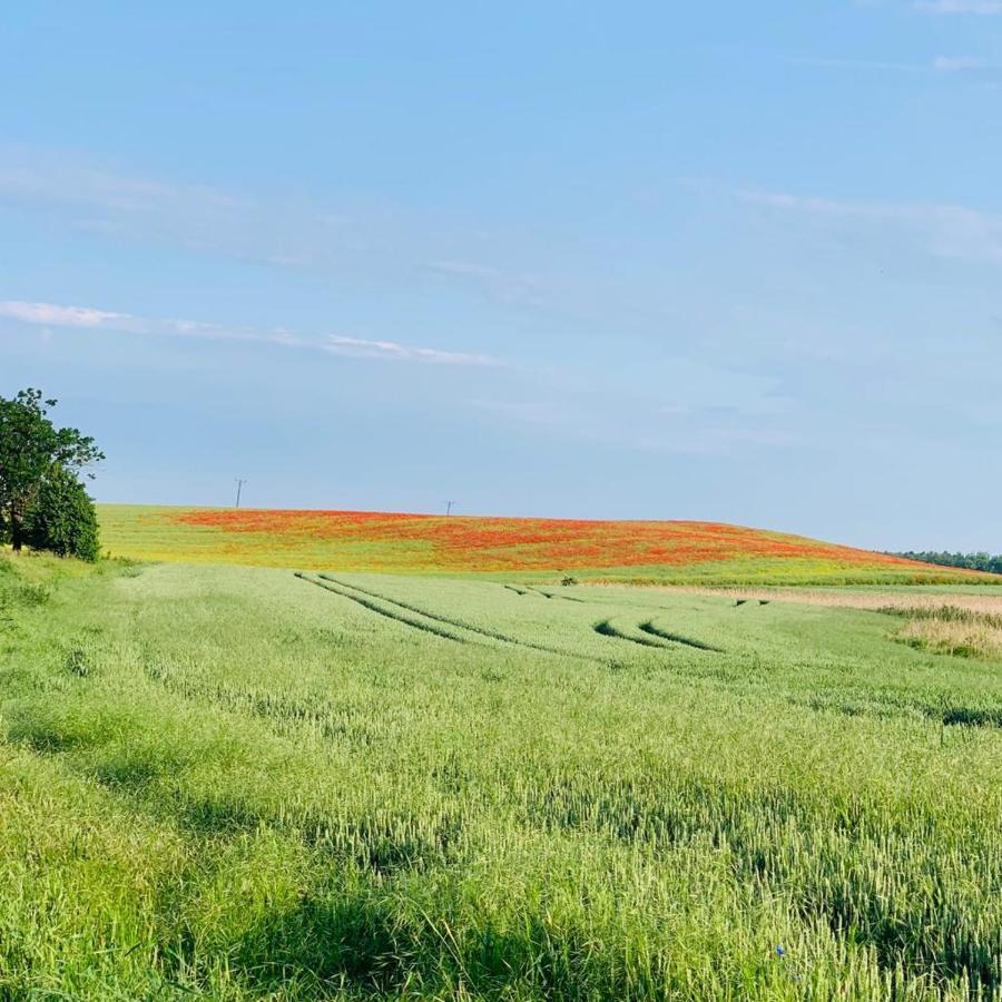 Domek Cyklisty Moryn Bagian luar foto