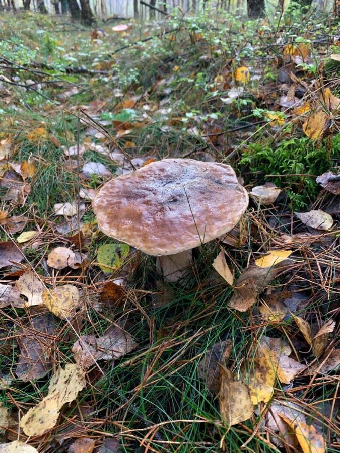 Domek Cyklisty Moryn Bagian luar foto